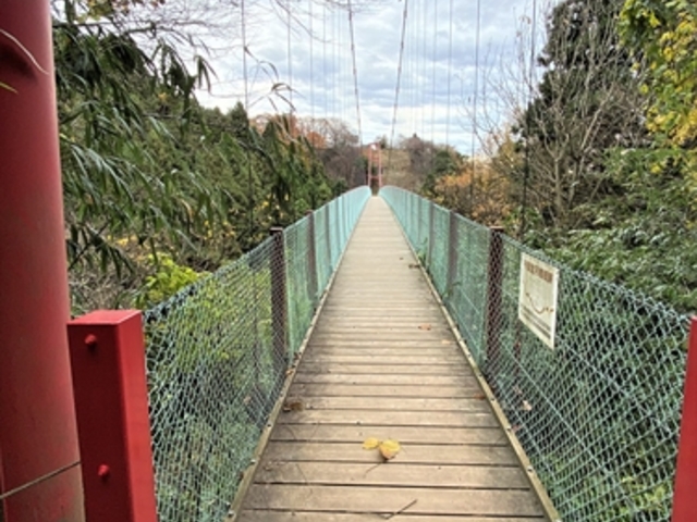 �Ίݑ�(�܍���)���猩����ᓰ�݂苴�@_��ᓰ�݂苴