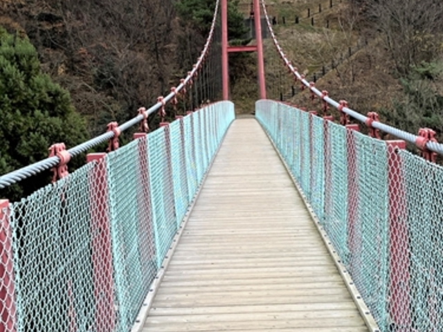 ��ᓰ�݂苴�F�h��Ȃ������Ԃ������Ă��ċ��|�S����_��ᓰ�݂苴