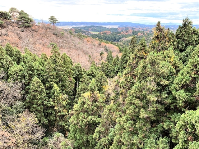 ��ᓰ�݂苴�����u��ᓰ�J�v�̌i�ρ@_��ᓰ�݂苴