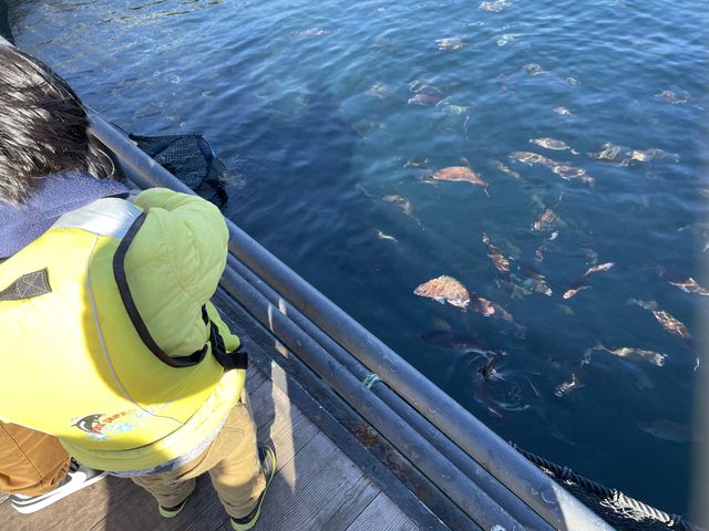 �₪��������j���ł܂���_�C��ނ�x�����]