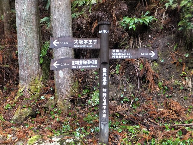 ���Â��X�̒��ŕW���ɏo��ƁA�����ԈႦ�Ă��Ȃ��Ɗm�M�ł��Ċ������B_�F��Ó�