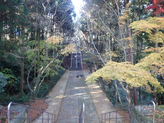 �������̍g�t