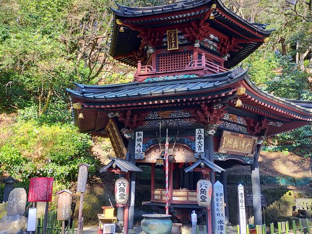 �������Z�p��_���V�ω�