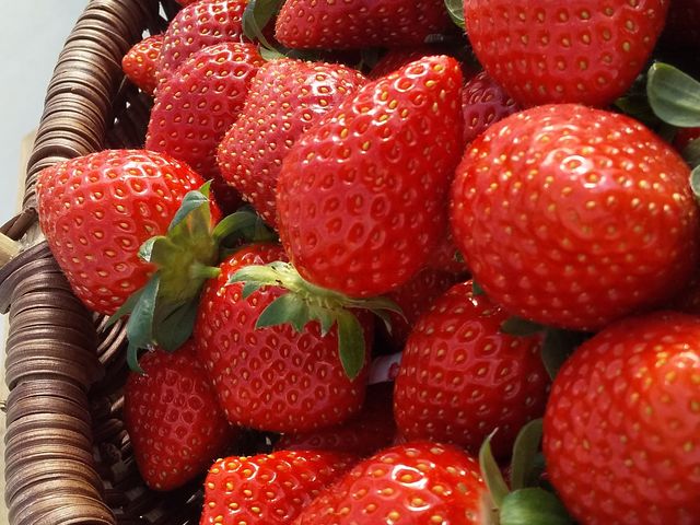 ��⁙_ichigos Yokohama-�C�`�S�X���l