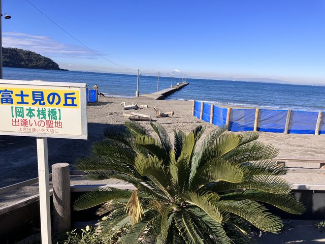 ���V�C���ǂ��ōō��̃p�m���}�ł����B
_�����C������