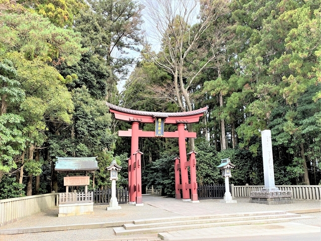 �u�z���{ ���_��� �\�F�_�ЁF��̒����v_�\�F�_��