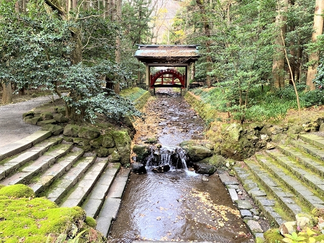 �\�F�_�В��q�여�H�ɉ˂����_�� �ʂ̋�_�\�F�_��