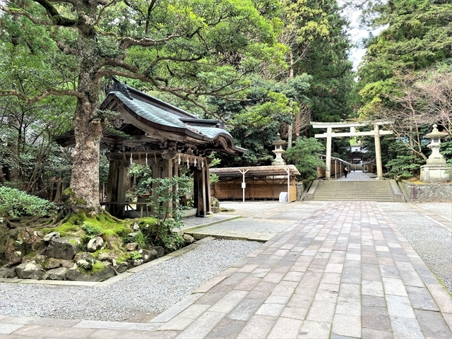 �\�F�_�ЁF�萅�ɂƓ�̒����@_�\�F�_��