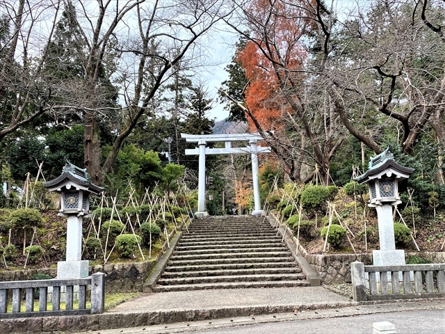 ��F�_�ЁF���Q�������ƒ���_�\�F�_��