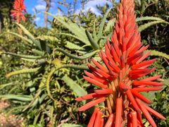 �Ă�Ă񂳂�̖[���t�����[���C���ւ̓��e�ʐ^1