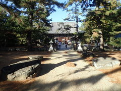 �}�C�a�n�n����̑�80�ԎD���@�������ւ̓��e�ʐ^1