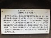 ڂ炳̔܂̕⸈󓃂̓eʐ^8