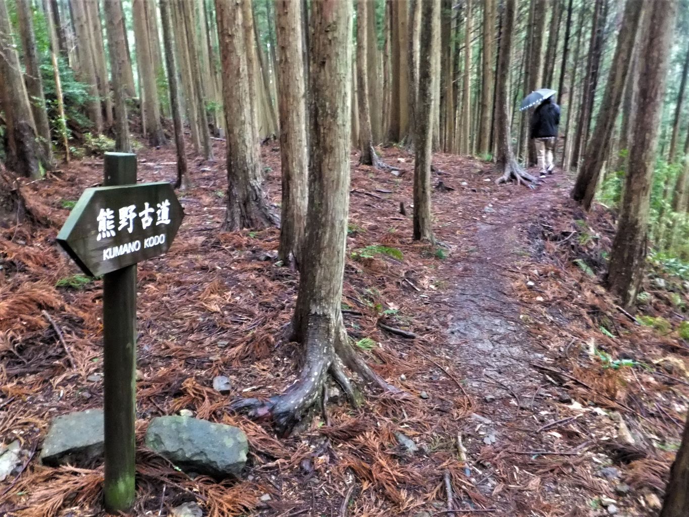 全国の旧街道ランキングTOP10 - じゃらんnet