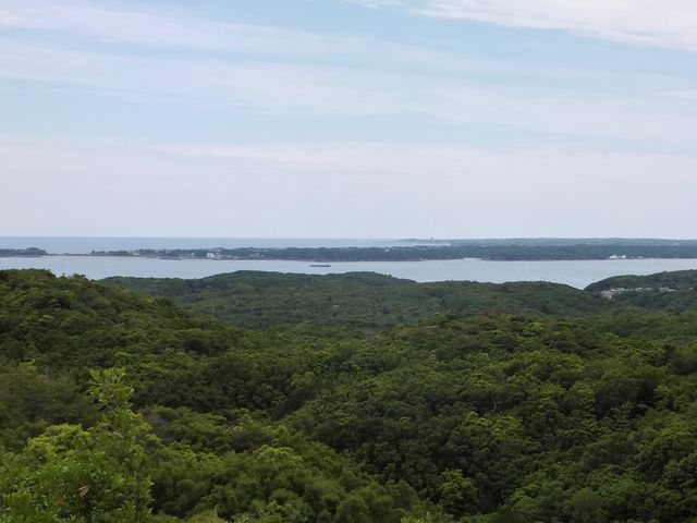 �ʔ��W�]�䂩�猩��I��p�̒���_�p�[�����[�h