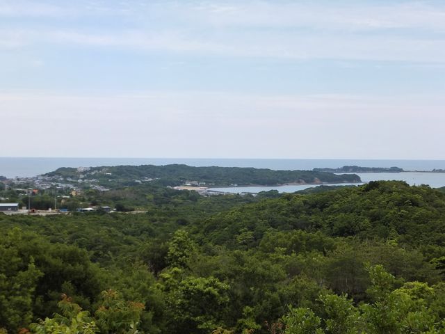 �ʔ��W�]�䂩�猩�鐛�艀�n�ƓI��p�̒���_�p�[�����[�h