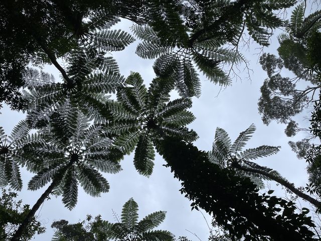 ʐ^X|bgĂ炦܂_όlbg[N