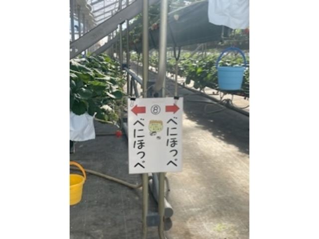 ���_�֍��_��