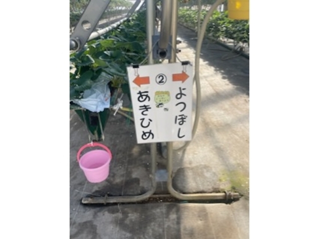 ���_�֍��_��