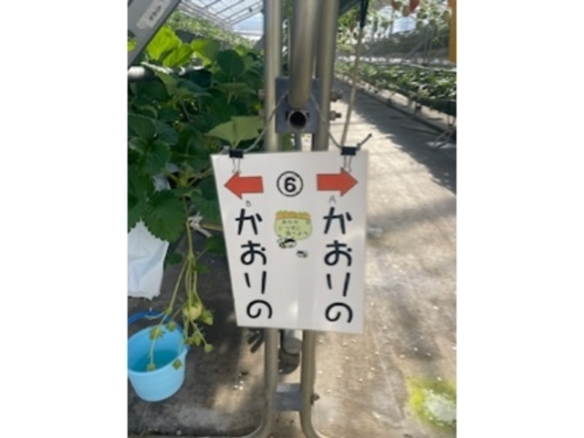 ���_�֍��_��