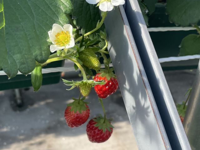 �H�׍�_�֍��_��