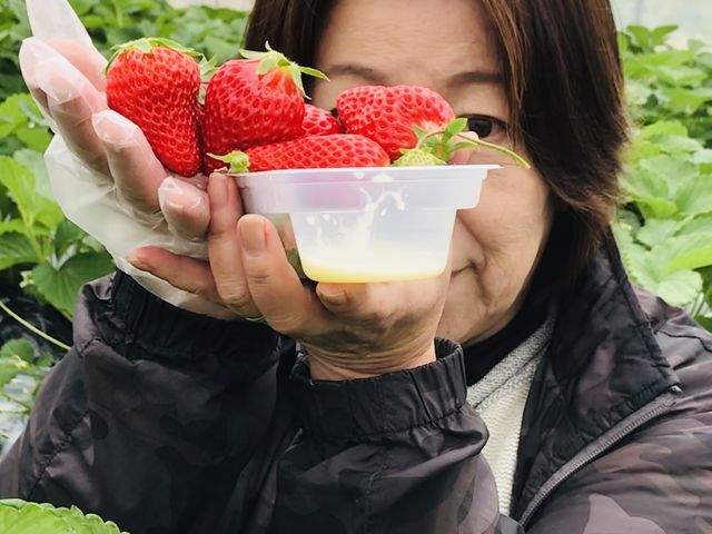 �����ȃC�`�S�ł�_�ÎR�_��