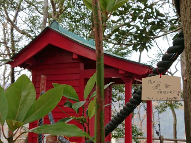 ݂тЂ߂̊x{[hEH[N̓eʐ^1