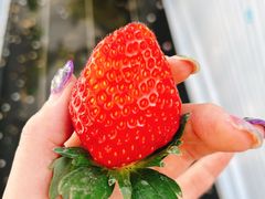 肩̃zeBL˂ւ̓eʐ^1