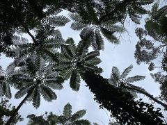 ȂȂ񂿂Ⴓ̊όlbg[Nւ̓eʐ^1