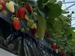 SUZÛӂt@[ւ̓eʐ^1