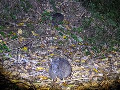 肳̉iCgcA[T[rXւ̓eʐ^1