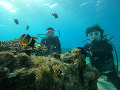 ܂ς̃}T[rXނʁ[ւ̓eʐ^1