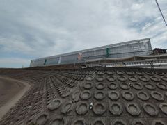 ichigos Yokohama-C`SXl̎ʐ^1