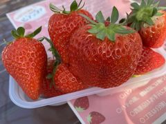 肳̂_sAbc@ւ̓eʐ^1