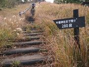 ݂тЂ߂̊x{[hEH[N̓eʐ^1