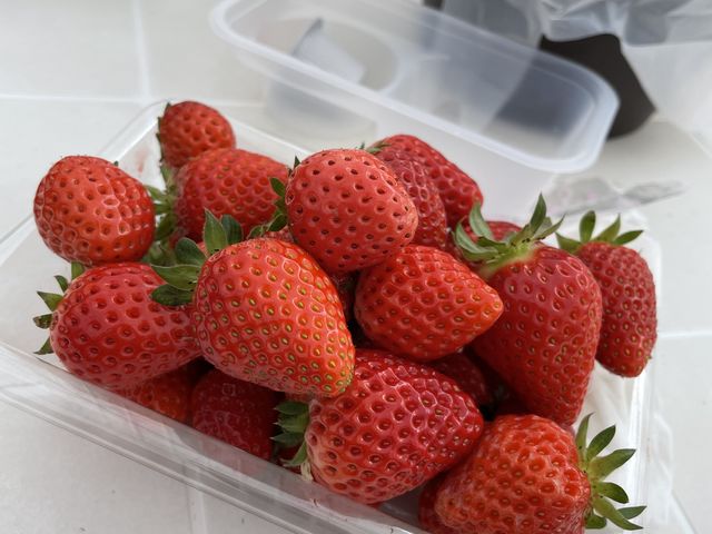 ���ڂ̎��n_���t䕉�