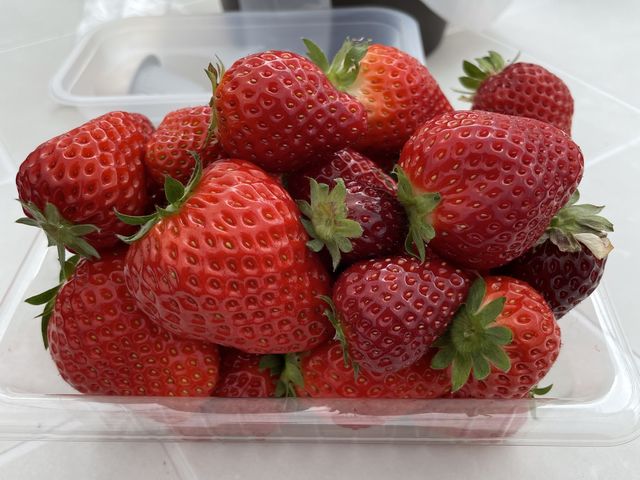 2��ڂ̎��n_���t䕉�