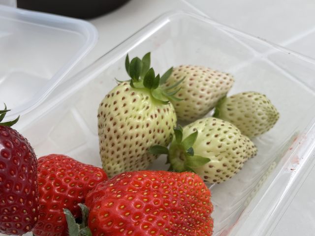 2��ڂ̎��n�ł���ƌ��������������@
�ł��ĊÖ��͂Ȃ��@�c�O�ł���
_���t䕉�