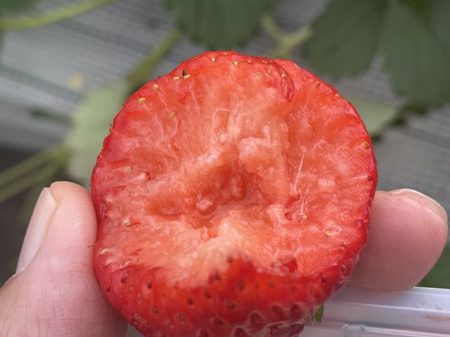 �ʏ`�����ς��ŊÂ������Q�̂������ł����B_�C�ӂ̂�������