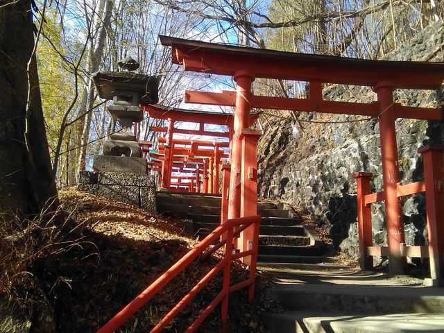 �������o��܂��I_�@���א_��