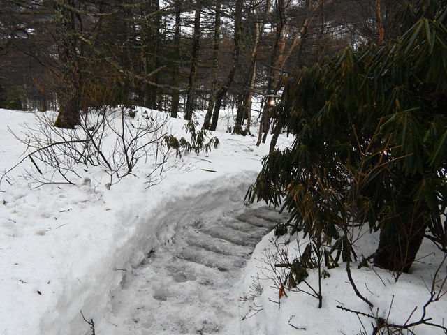 ȓ50mقǐiނƁBBB_􉷐