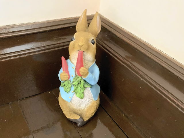 LN^[@s[^[rbg_dv@։p̎