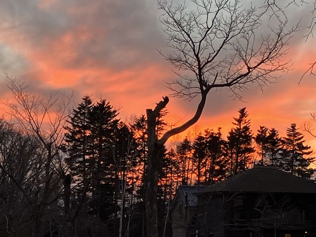 �[�Ă����f�G�ł����B_�k�C���J��̑�