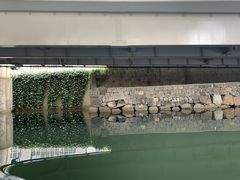 GeminỉTN[Y@KIւ̓eʐ^2