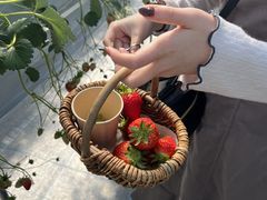 �z�������䕉����Ƃ��ւ̓��e�ʐ^1