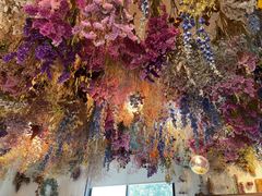 Ђ񂳂JoieRւ̓eʐ^1