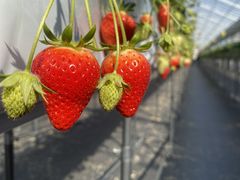 HIRO����̂����₫���������ւ̓��e�ʐ^1