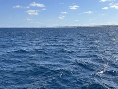 䂽񂳂̃AChbZ[Wւ̓eʐ^1