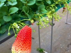 stmŷ䂤䂤_ւ̓eʐ^1