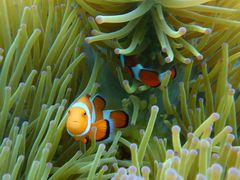 `RAimtida{Óւ̓eʐ^1