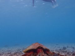 `RAimtida{Óւ̓eʐ^2